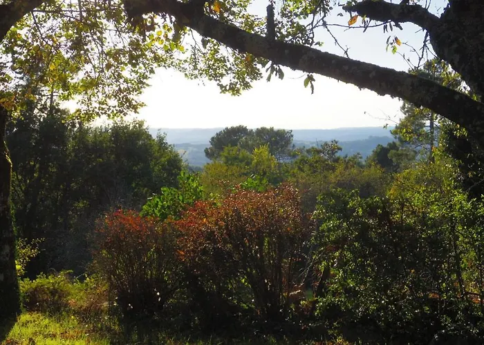 Romantique לינה וארוחת בוקר דום